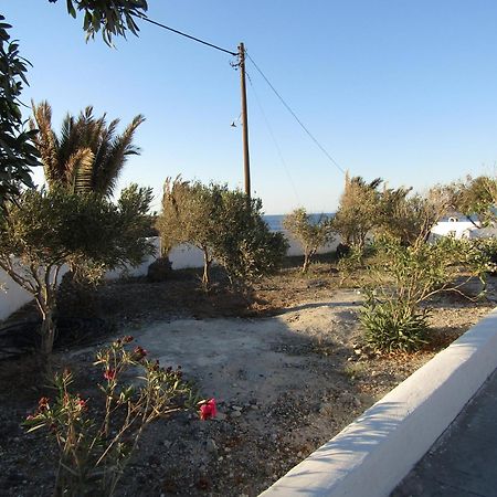 Santorini Grace Villa No1 Foinikiá Dış mekan fotoğraf