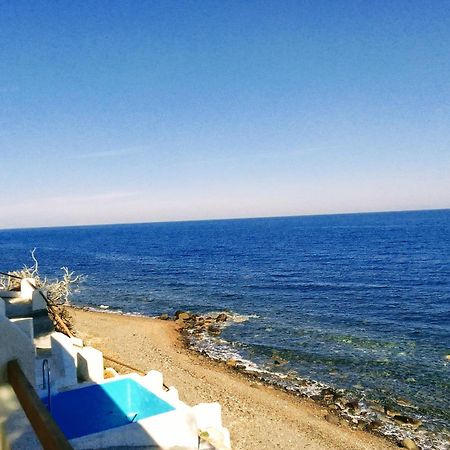 Santorini Grace Villa No1 Foinikiá Dış mekan fotoğraf
